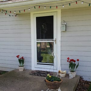 White Storm Door